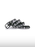 Notes Keyboard Graphic Belt